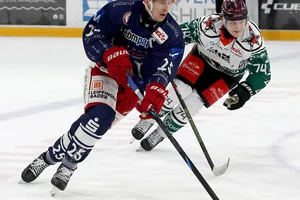 Andreas Schwarz verlängert beim EV Landshut.